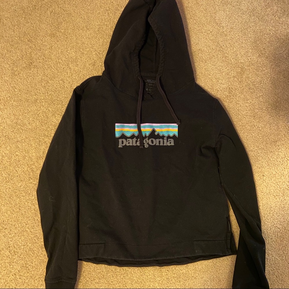 Patagonia cropped sweatshirt